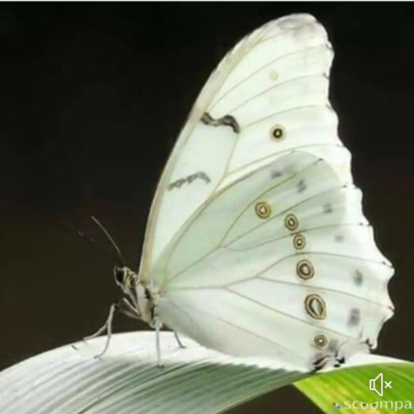 Meet your Posher, Cathy - Picture 1 of 1